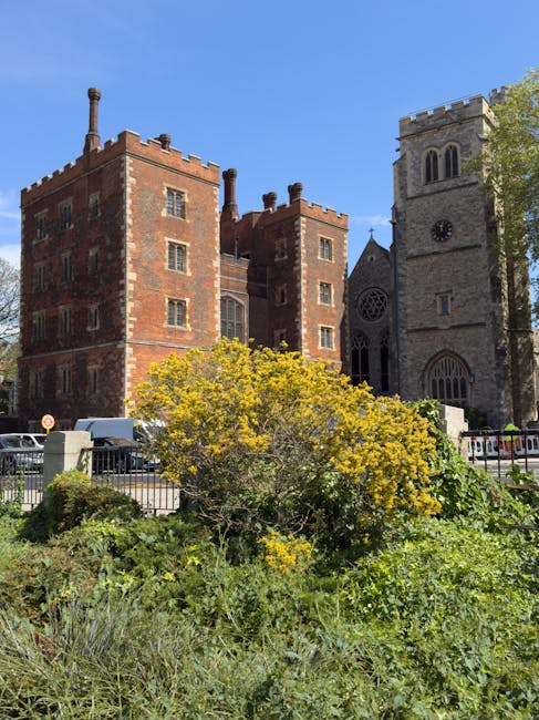 A low, overgrown garden bed filled with various green plants and bushes, including a prominent shrub covered in small yellow flowers in the foreground. Behind the greenery, there is a black metal fence with vertical bars and decorative elements along the edge of the garden. Beyond the fence, a historic red-brick building with a medieval castle-like appearance features multiple small, rectangular windows with white frames, crenellated battlements along the roofline, and tall chimneys rising from the roof. To the right, a stone church with a tall, square bell tower topped by battlements and arched windows is visible. The church's facade includes a large, circular stained-glass window and pointed arch openings. The scene is captured on a bright, sunny day, with a clear blue sky and some leaves visible on the right side, indicating nearby trees. Rubbish clearance services such as those offered by Rubbish Clearance Lambeth often involve managing waste collection in urban environments with historic buildings and dense landscaping, highlighting the importance of effective rubbish removal for maintaining cityscapes.
